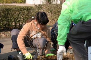 慣れない手つきでも一生懸命